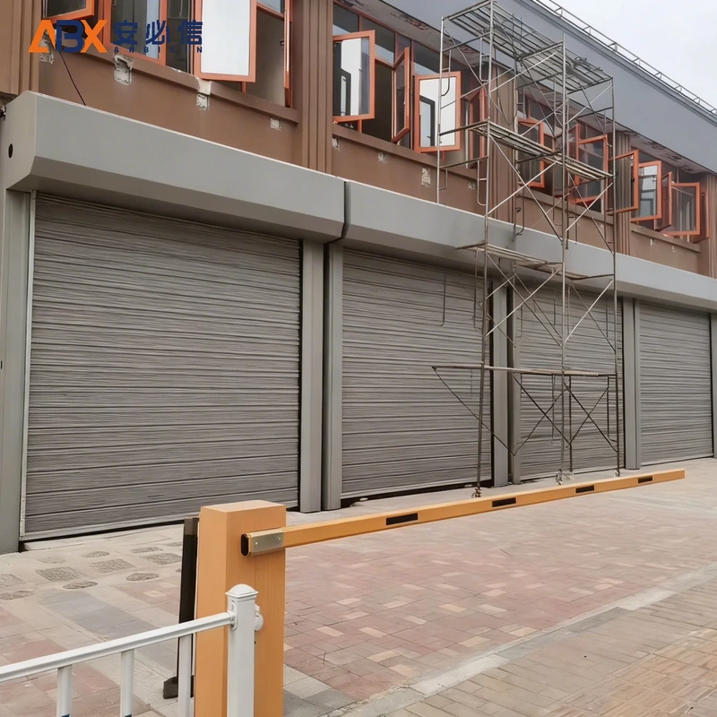 葫芦岛市金属高速门